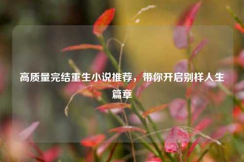 高质量完结重生小说推荐，带你开启别样人生篇章