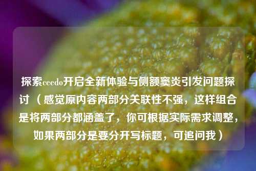 探索ceedo开启全新体验与侧额窦炎引发问题探讨 （感觉原内容两部分关联性不强，这样组合是将两部分都涵盖了，你可根据实际需求调整，如果两部分是要分开写标题，可追问我）