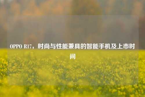 OPPO R17,时尚与性能兼具的智能手机及上市时间