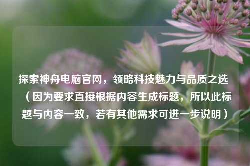 探索神舟电脑官网，领略科技魅力与品质之选 （因为要求直接根据内容生成标题，所以此标题与内容一致，若有其他需求可进一步说明）
