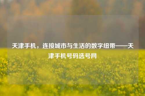 天津手机，连接城市与生活的数字纽带——天津手机号码选号网