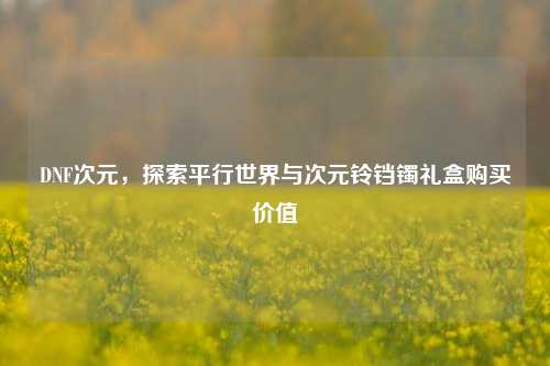 DNF次元，探索平行世界与次元铃铛镯礼盒购买价值