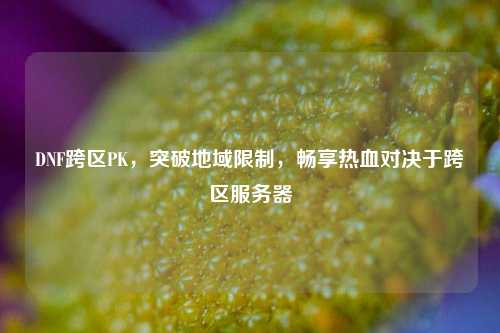 DNF跨区PK，突破地域限制，畅享热血对决于跨区服务器