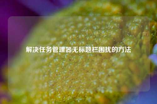 解决任务管理器无标题栏困扰的方法