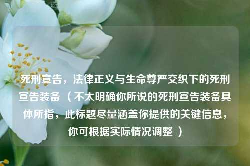 死刑宣告，法律正义与生命尊严交织下的死刑宣告装备 （不太明确你所说的死刑宣告装备具体所指，此标题尽量涵盖你提供的关键信息，你可根据实际情况调整 ）
