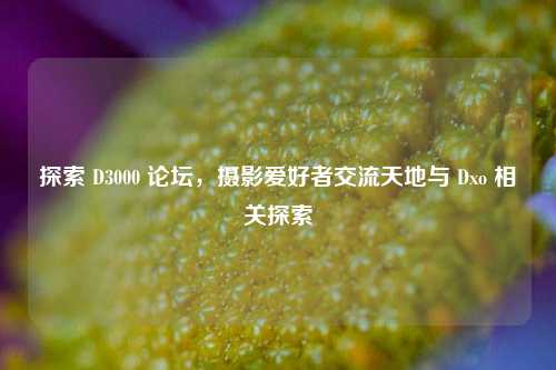 探索 D3000 论坛，摄影爱好者交流天地与 Dxo 相关探索
