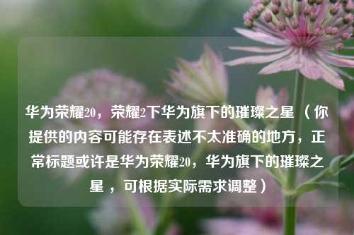 华为荣耀20,荣耀2下华为旗下的璀璨之星 (你提供的内容可能存在表述不太准确的地方,正常标题或许是华为荣耀20,华为旗下的璀璨之星 ,可根据实际需求调整)
