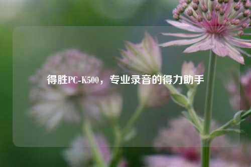得胜PC-K500，专业录音的得力助手