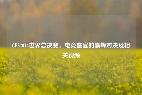 CFS2014世界总决赛,电竞盛宴的巅峰对决及相关视频