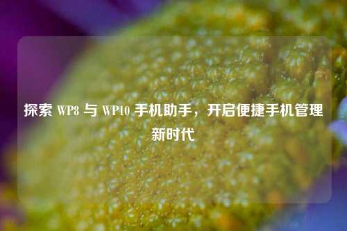 探索 WP8 与 WP10 手机助手,开启便捷手机管理新时代