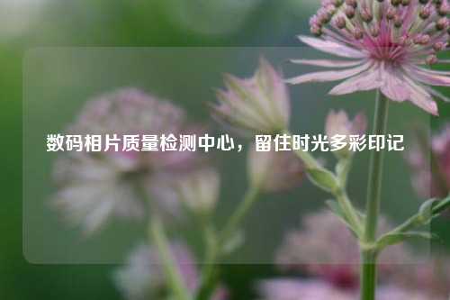 数码相片质量检测中心，留住时光多彩印记