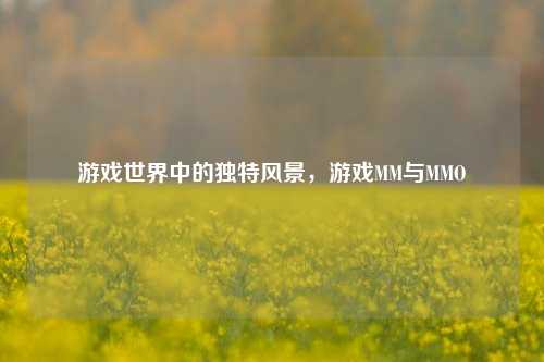 游戏世界中的独特风景，游戏MM与MMO