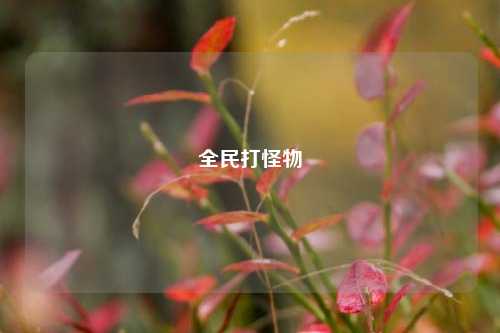 全民打怪物