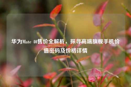 华为Mate 40售价全解析，探寻高端旗舰手机价值密码及价格详情