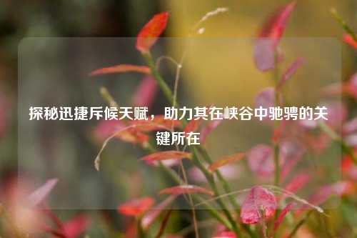 探秘迅捷斥候天赋，助力其在峡谷中驰骋的关键所在