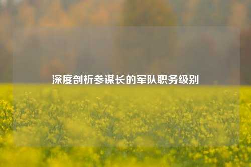 深度剖析参谋长的军队职务级别