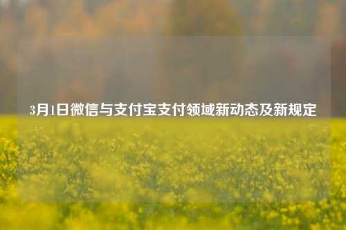 3月1日微信与支付宝支付领域新动态及新规定