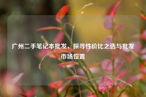 广州二手笔记本批发，探寻性价比之选与批发市场位置