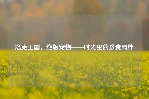 洛克王国，绝版宠物——时光里的珍贵羁绊
