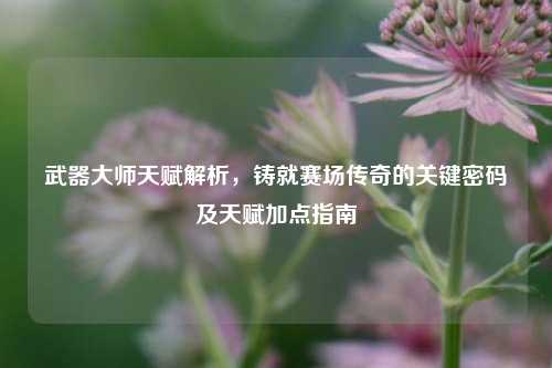 武器大师天赋解析,铸就赛场传奇的关键密码及天赋加点指南