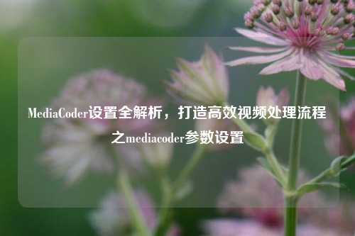 MediaCoder设置全解析，打造高效视频处理流程之mediacoder参数设置