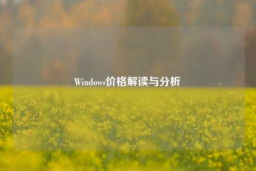 Windows价格解读与分析