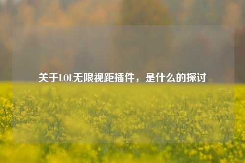 关于LOL无限视距插件，是什么的探讨