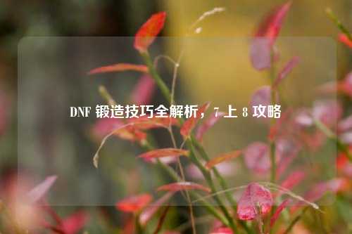DNF 锻造技巧全解析，7 上 8 攻略