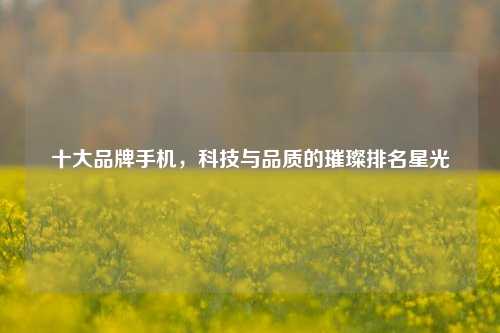 十大品牌手机，科技与品质的璀璨排名星光