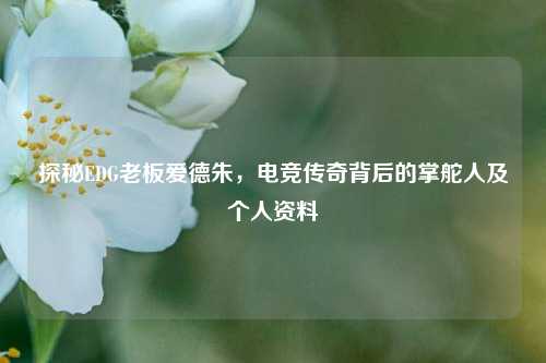 探秘EDG老板爱德朱,电竞传奇背后的掌舵人及个人资料