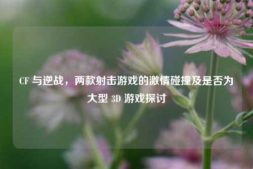 CF 与逆战，两款射击游戏的激情碰撞及是否为大型 3D 游戏探讨