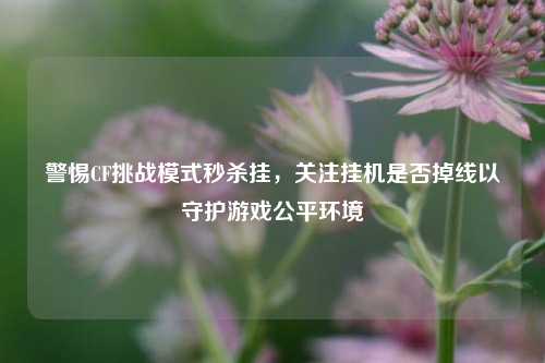 警惕CF挑战模式秒杀挂，关注挂机是否掉线以守护游戏公平环境