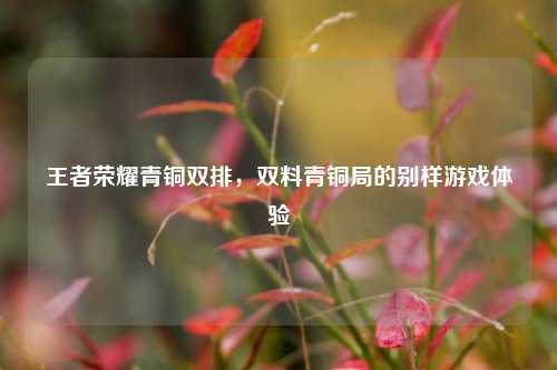 王者荣耀青铜双排，双料青铜局的别样游戏体验
