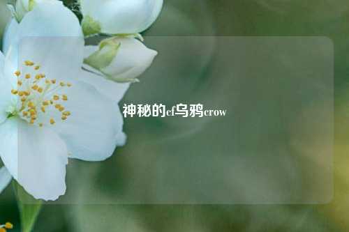 神秘的cf乌鸦crow