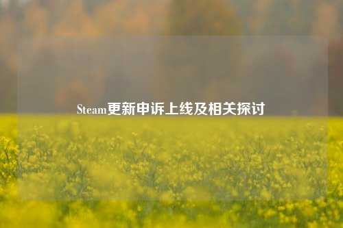 Steam更新申诉上线及相关探讨