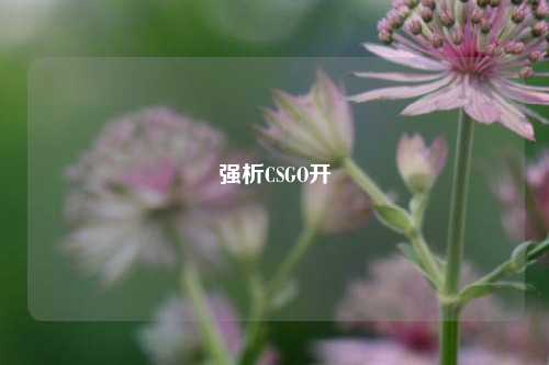 强析CSGO开