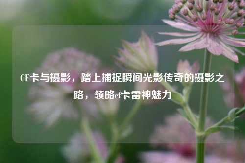 CF卡与摄影，踏上捕捉瞬间光影传奇的摄影之路，领略cf卡雷神魅力