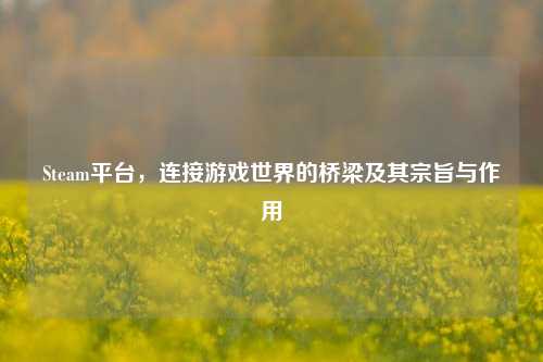 Steam平台，连接游戏世界的桥梁及其宗旨与作用