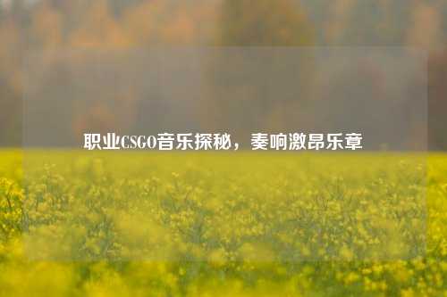 职业CSGO音乐探秘,奏响激昂乐章