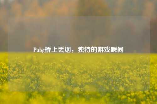 Pubg桥上丢烟,独特的游戏瞬间