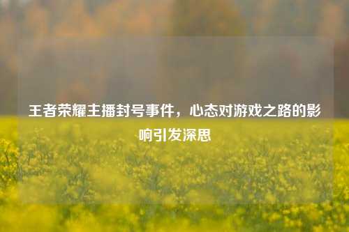 王者荣耀主播封号事件，心态对游戏之路的影响引发深思