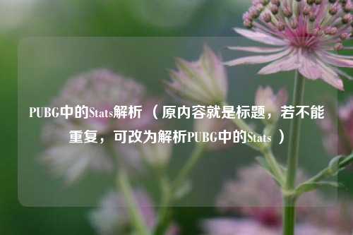 PUBG中的Stats解析 (原内容就是标题,若不能重复,可改为解析PUBG中的Stats )