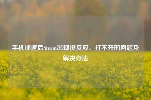 手机加速后Steam出现没反应、打不开的问题及解决办法