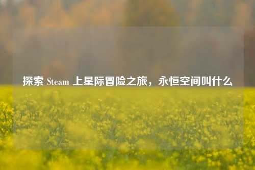 探索 Steam 上星际冒险之旅，永恒空间叫什么