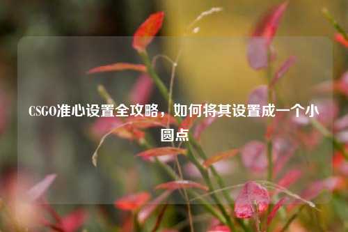 CSGO准心设置全攻略,如何将其设置成一个小圆点