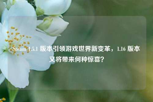 Steam 1.5.1 版本引领游戏世界新变革,1.16 版本又将带来何种惊喜?