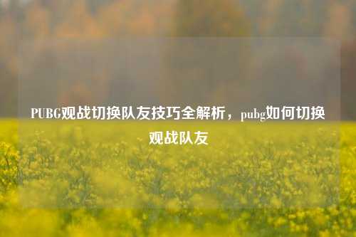 PUBG观战切换队友技巧全解析，pubg如何切换观战队友
