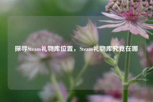 探寻Steam礼物库位置，Steam礼物库究竟在哪
