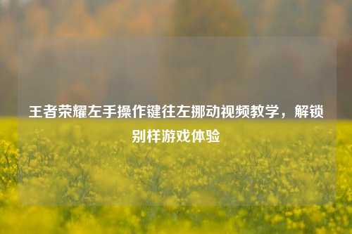 王者荣耀左手操作键往左挪动视频教学，解锁别样游戏体验