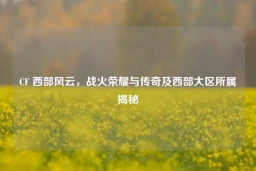 CF 西部风云,战火荣耀与传奇及西部大区所属揭秘